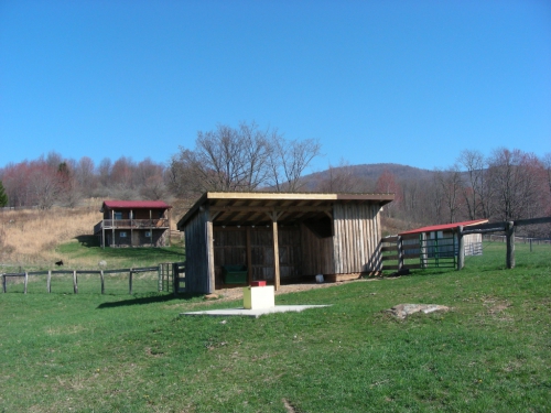 Pastures feature run-in sheds